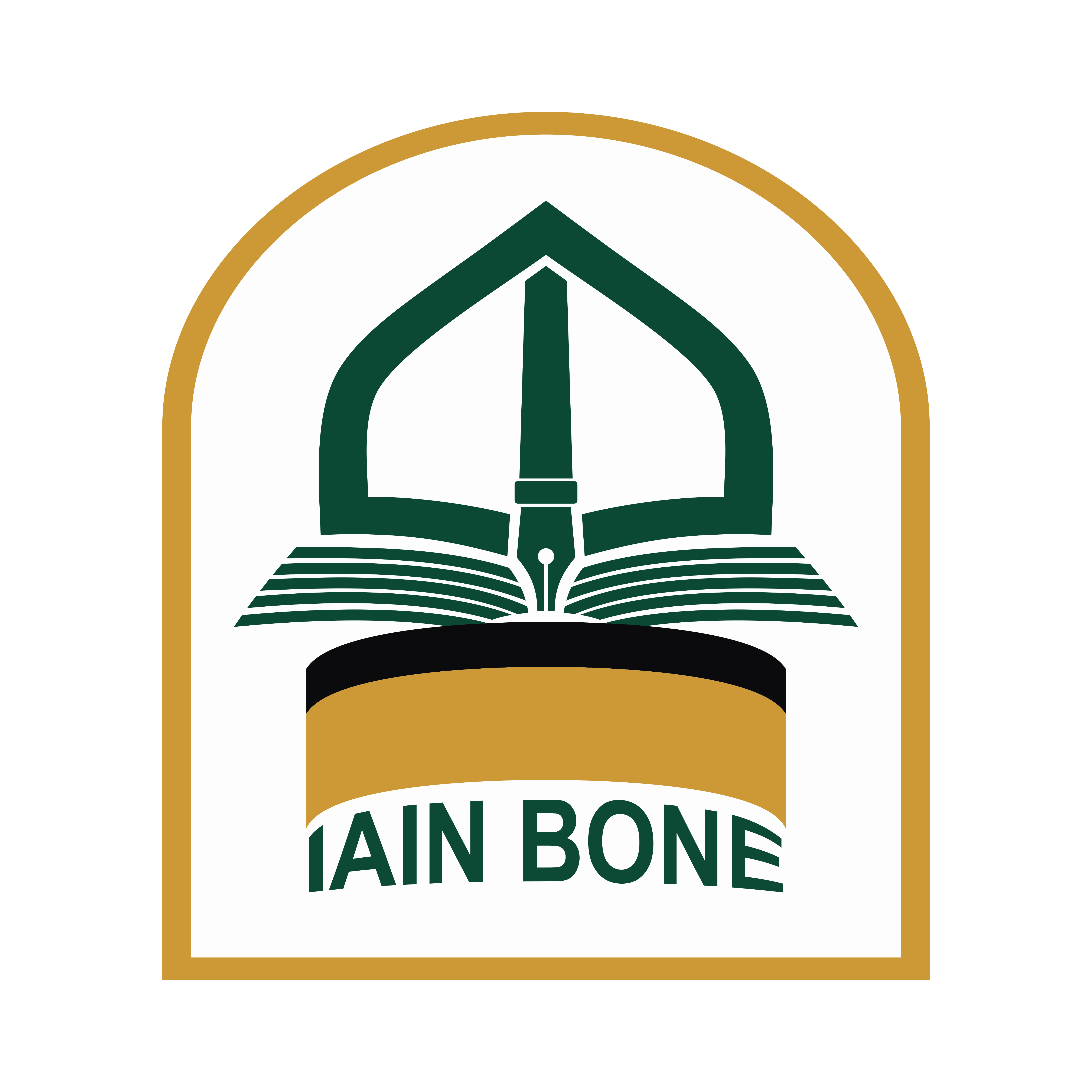 IAIN Bone